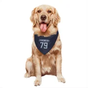 Lloyd Cushenberry III Tennessee Titans  Dog & Cat Pet Bandana - Navy