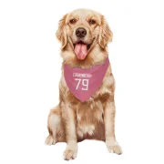 Lloyd Cushenberry III Tennessee Titans  Dog & Cat Pet Bandana - Pink