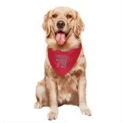 Lloyd Cushenberry III Tennessee Titans  Dog & Cat Pet Bandana - Red