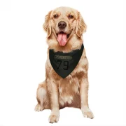 Lloyd Cushenberry III Tennessee Titans  Service Dog & Cat Pet Bandana - Black