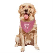 Peter Skoronski Tennessee Titans  Dog & Cat Pet Bandana - Pink