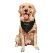 Peter Skoronski Tennessee Titans  Service Dog & Cat Pet Bandana - Black