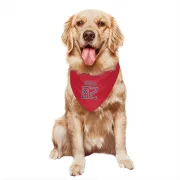 Stanley Morgan Jr. Tennessee Titans  Dog & Cat Pet Bandana - Red