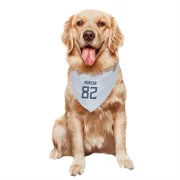 Stanley Morgan Jr. Tennessee Titans  Dog & Cat Pet Bandana - White